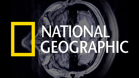 Thumbnail for National Geographic explores the science of same-sex attraction