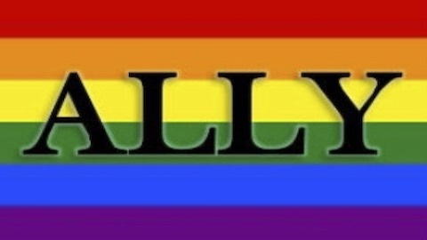 ally on pride flag